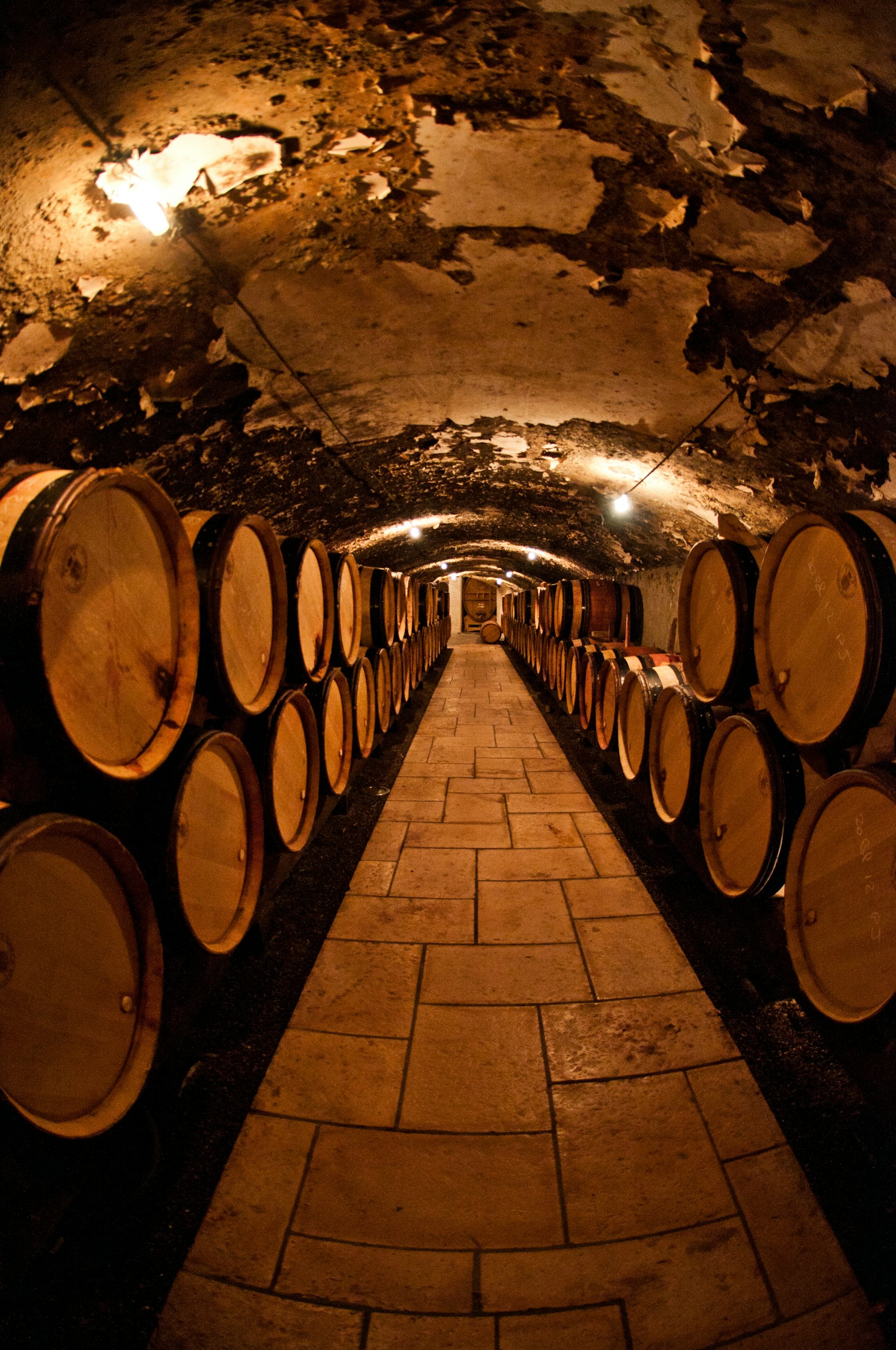 A vaulted stone tunnel lined with oak barrels lit by warm low light